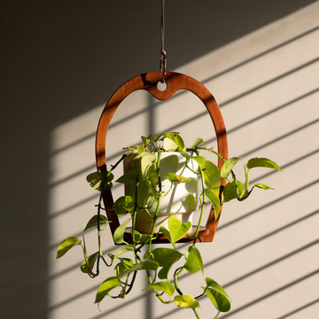 GreenAura Hanging Stand