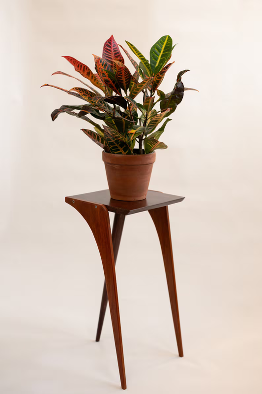 RetroLuxe Planter Stand
