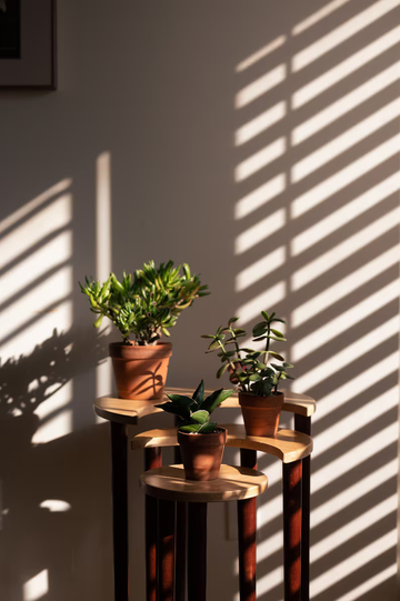MoonHaven Plant Stand
