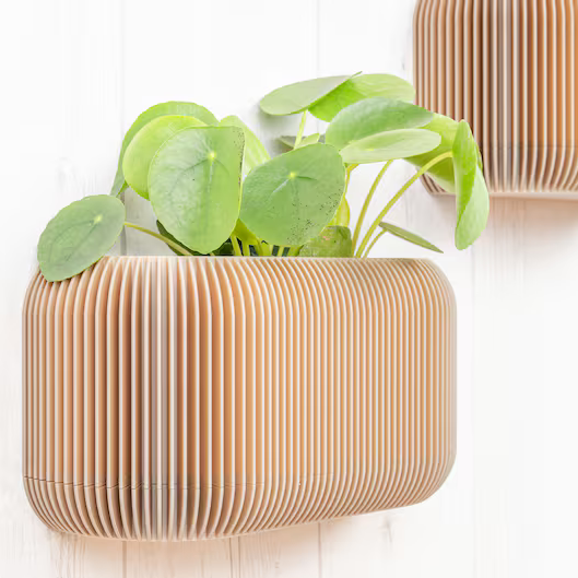 The Minimal Wall Planter ( Set of 3 )