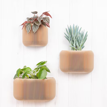 The Minimal Wall Planter ( Set of 3 )