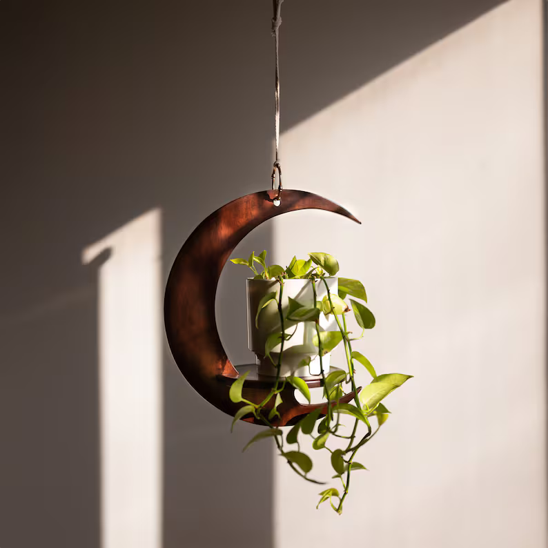 Eclipse Plant Hanger