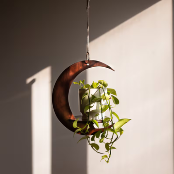 Eclipse Plant Hanger