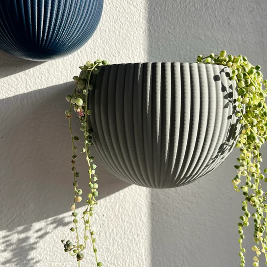 EchoCurve Wall Planter