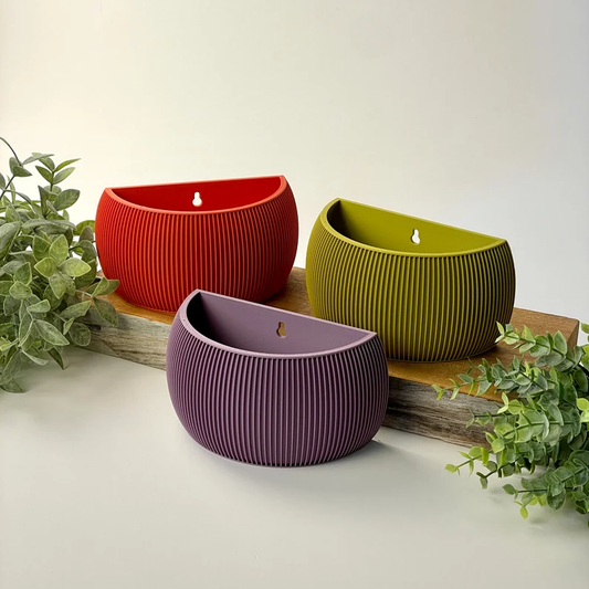 BotaniBurst Wall Planter