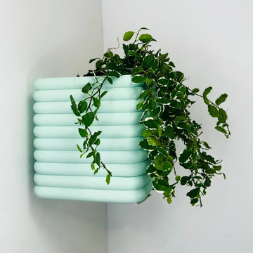 ModernLines Wall Planter