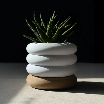 CurvaBubble Wall Planter
