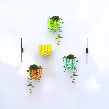 Rainbow Bloom Pot Wall Planter