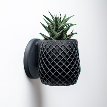 BloomLayer Wall Planter