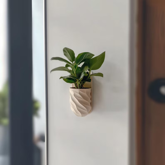 ModVase Bloom Wall Plnater