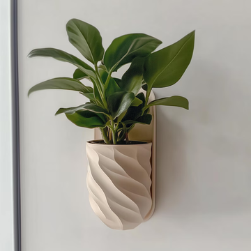 ModVase Bloom Wall Plnater